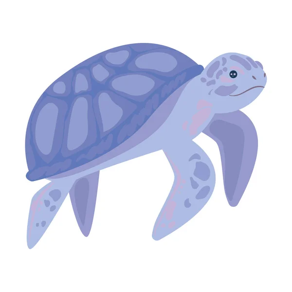 Conception de tortue bleue — Image vectorielle