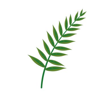 uzun dal yaprakları