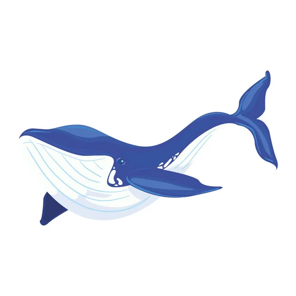 Design baleine bleue — Image vectorielle