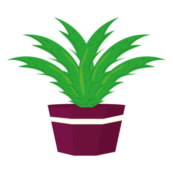 Plant on pot — Stock Vector