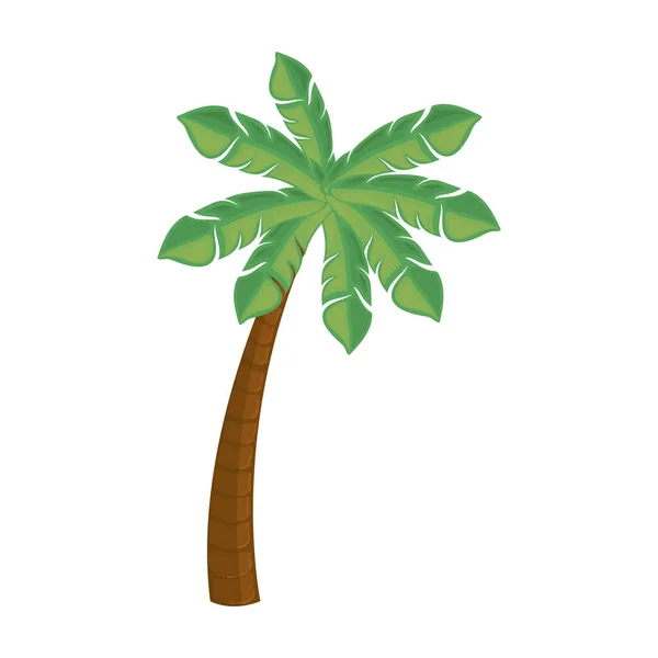 Ilustración de la palma de coco — Vector de stock