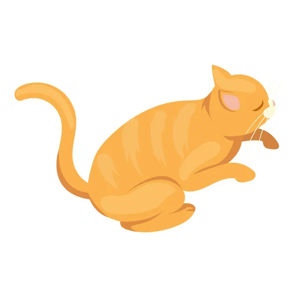 Uyuyan kedi tasarımı — Stok Vektör