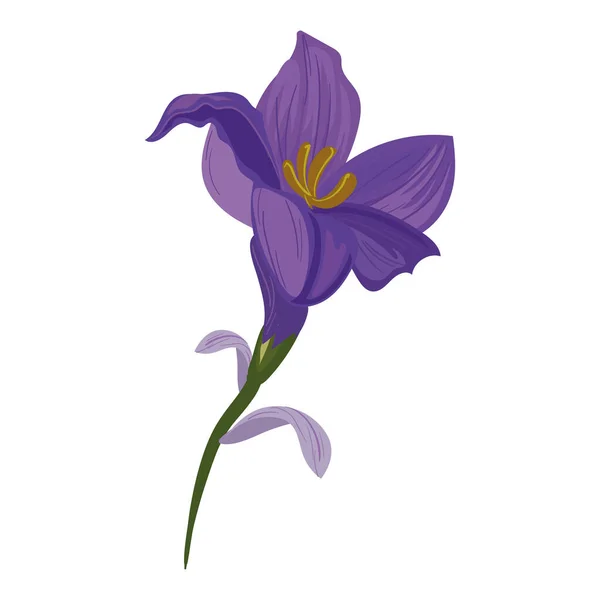 Fioletowy projekt lilii — Wektor stockowy