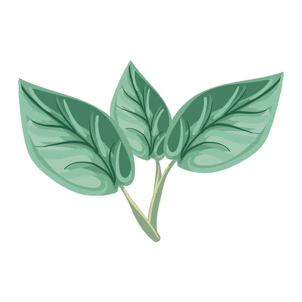 Drei grüne Blätter — Stockvektor