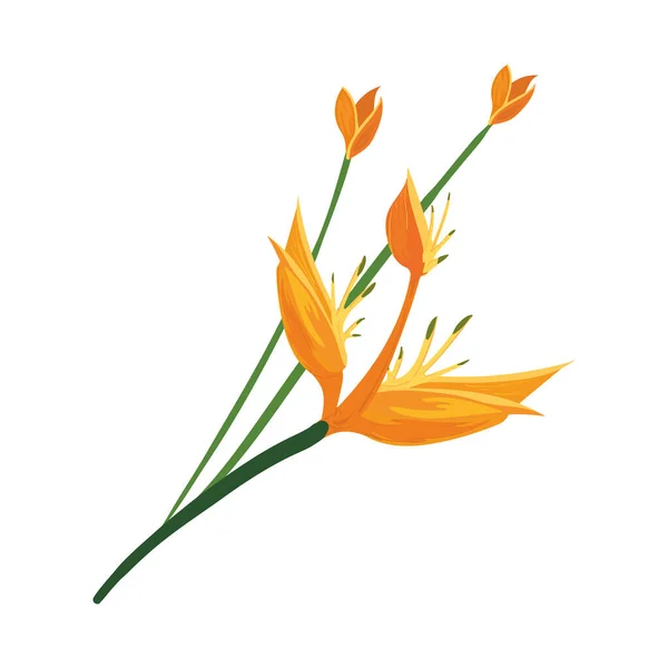 Süße gelbe Blume — Stockvektor