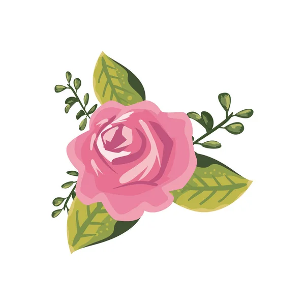 Ροζ τριαντάφυλλο εικονογράφηση — Διανυσματικό Αρχείο