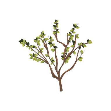 ağaç dalı tasarımı