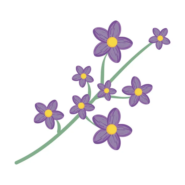 Illustration d'orchidées pourpres — Image vectorielle