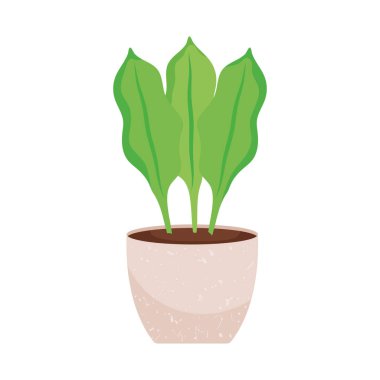 kapalı bitki simgesi