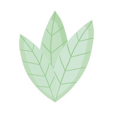dekoratif yaprak simgesi