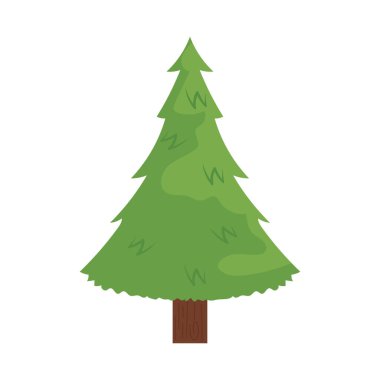çam ağacı simgesi