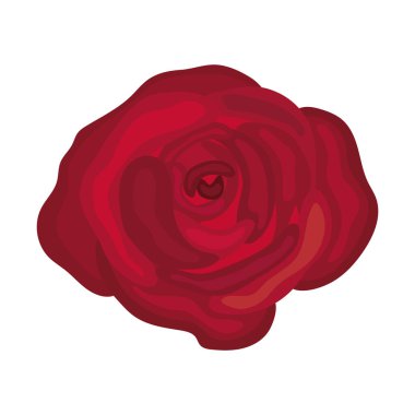 kırmızı gül simgesi