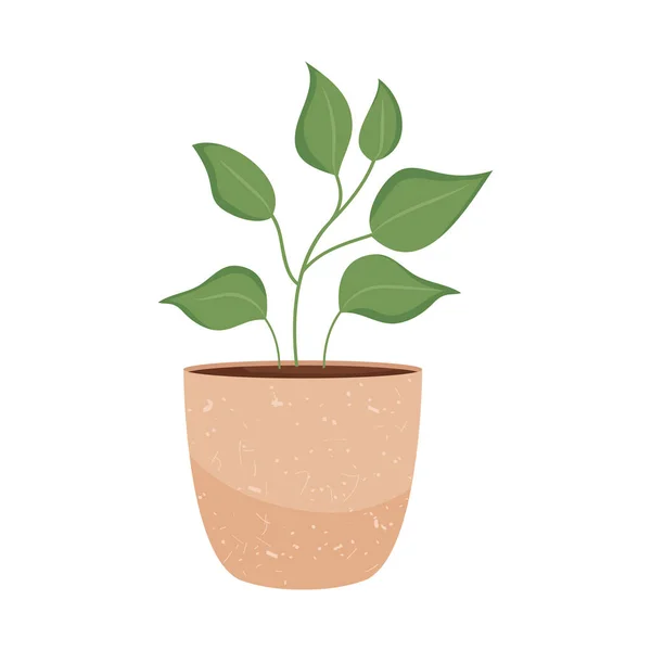Икона растения pothos — стоковый вектор