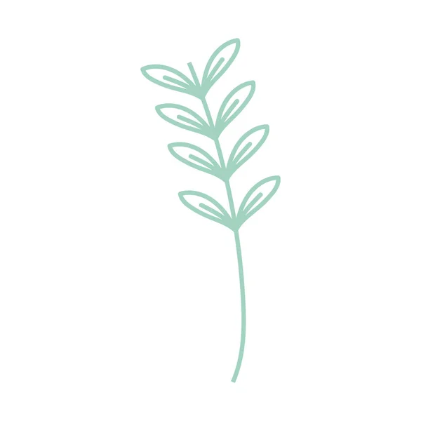 Leaves stem icon — 스톡 벡터