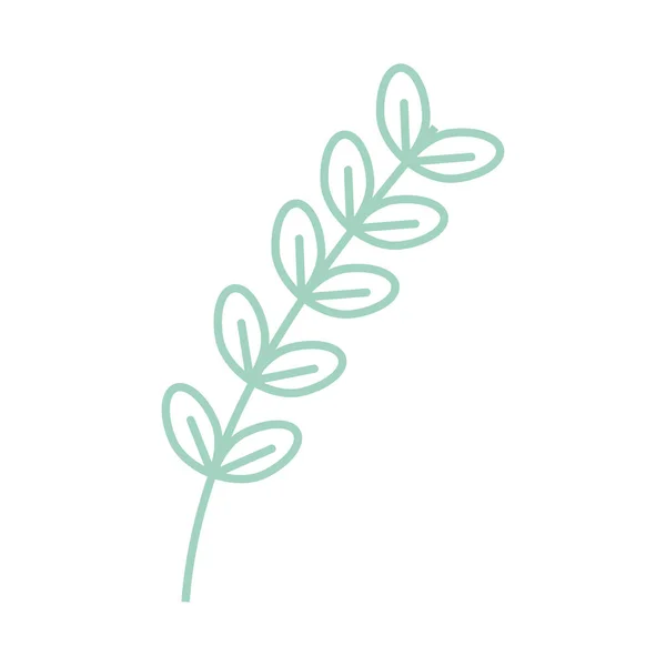 Κλαδί με φύλλα — Διανυσματικό Αρχείο