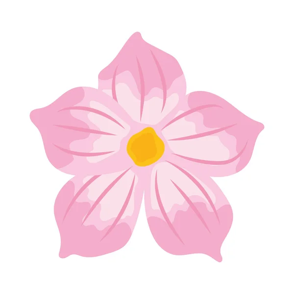 ピンクの蘭のアイコン — ストックベクタ