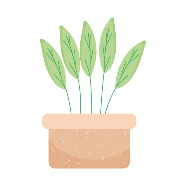 Planta verde decorativa —  Vetores de Stock