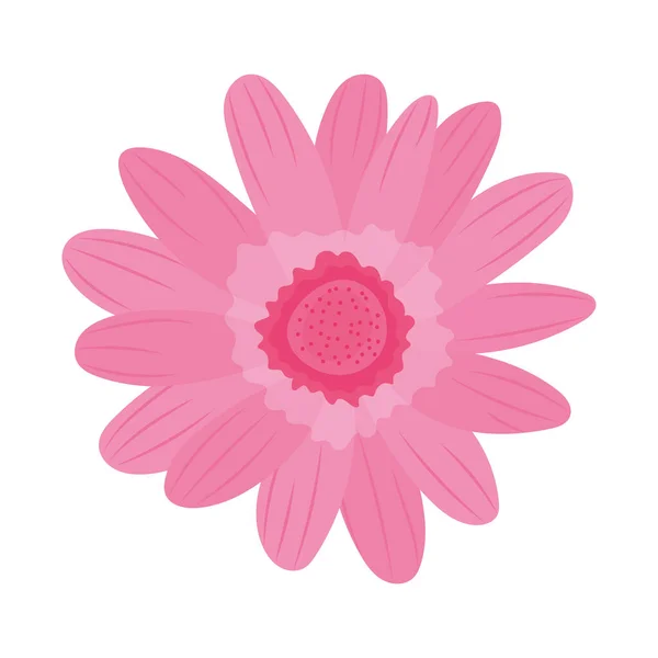 Pink daisy blomman — Stock vektor
