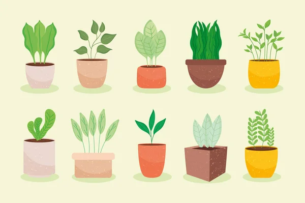 Indoor plants icon set —  Vetores de Stock