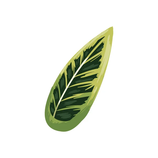 Flat realistic green leaf — ストックベクタ