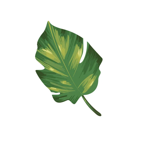 Flat realistic leaf illustration — Vector de stock
