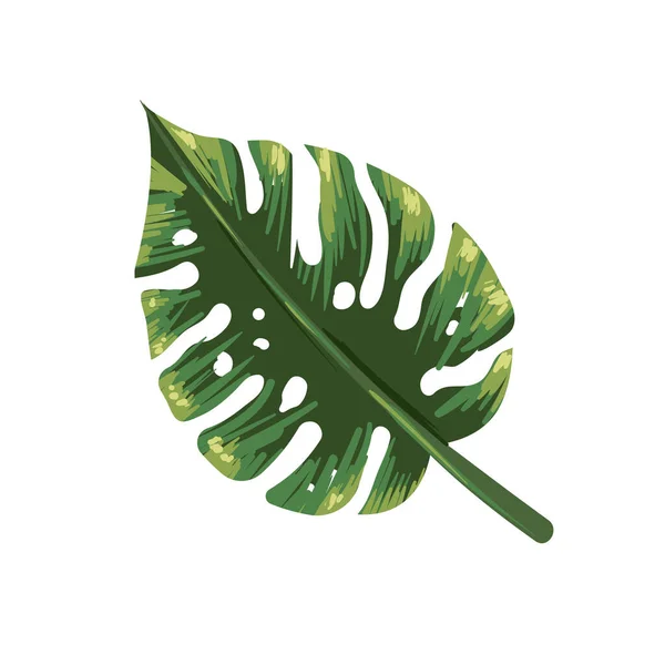 Flat realistic leaf monstera — Stockový vektor