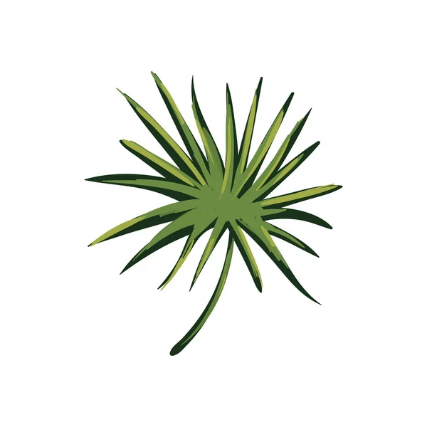 Flat realistic tropical leaf — стоковый вектор