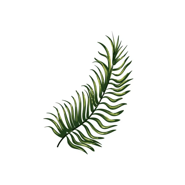Flat realistic branch leaves design — стоковый вектор