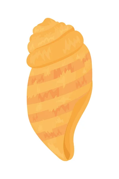 Yellow florida shell — Vector de stock