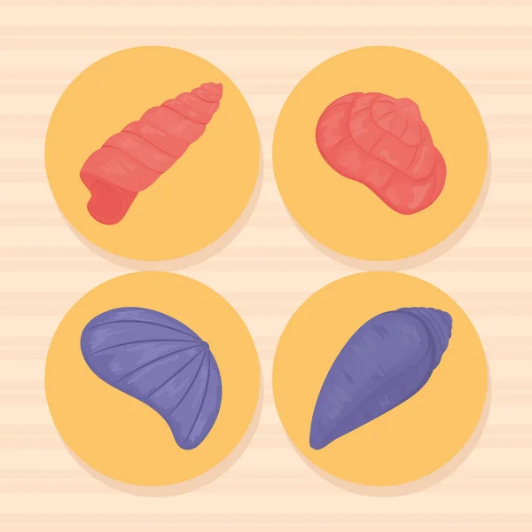 Colorful shells set — ストックベクタ