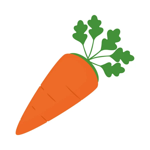 Zuckerbrot Gemüse Symbol Auf Weißem Hintergrund — Stockvektor