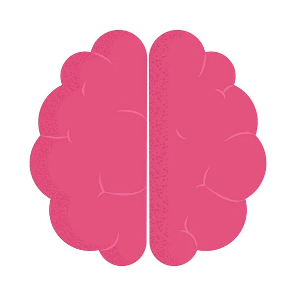 白い背景に人間の脳のアイコンが — ストックベクタ