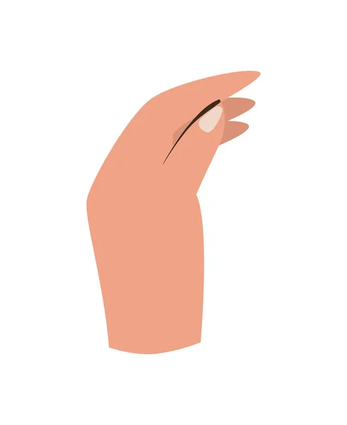 白の上に平らな手のアイコン — ストックベクタ