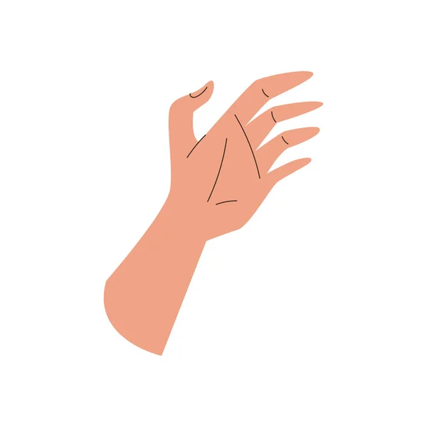 Flat Hand Image White — Stock Vector
