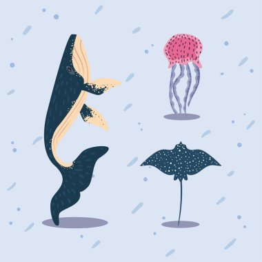 Üç düz deniz hayvanı seti.