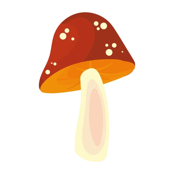 Conception Champignon Chute Sur Blanc — Image vectorielle