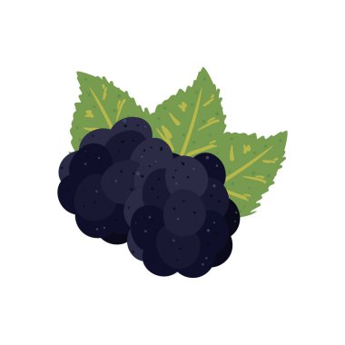 bembeyaz üzerine taze üzüm dizaynı