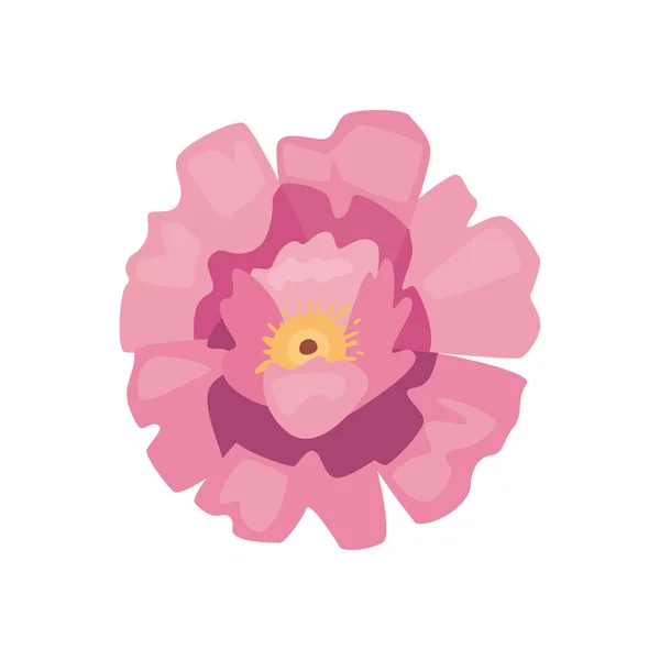 Плоский Розовый Цветок Лотоса Поверх Белого — стоковый вектор