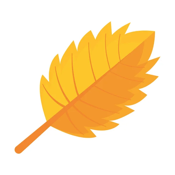 Oranžový Podzimní List Přes Bílou — Stockový vektor