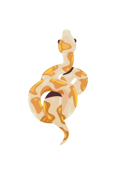 Serpent Plat Blanc Doré Sur Blanc — Image vectorielle