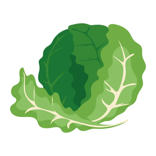 Gesundes Salatdesign Über Weißem — Stockvektor