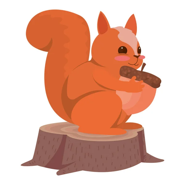 Squirrel Acorn White — Stock Vector
