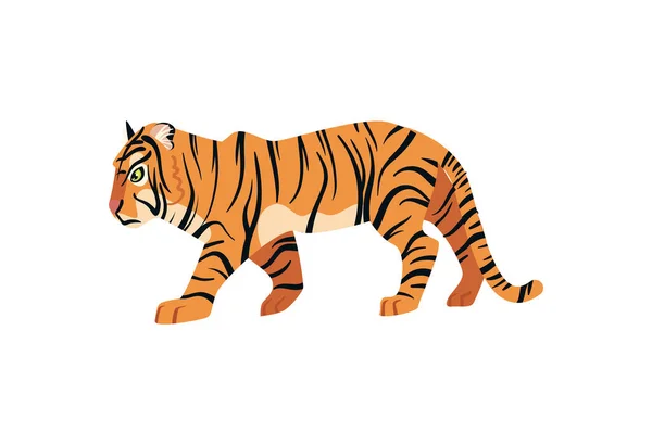Bengal Tiikeri Suunnittelu Yli Valkoinen — vektorikuva