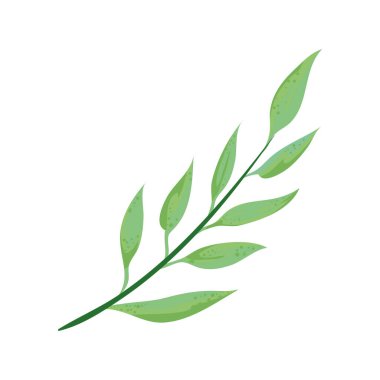 yeşil yapraklar beyaz üzerine dallanır