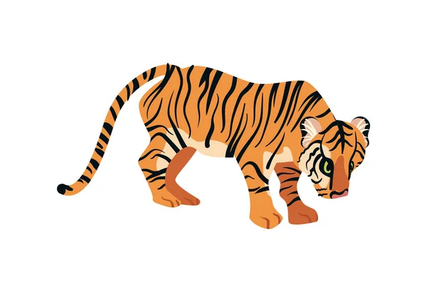 Grande Illustration Tigre Sur Blanc — Image vectorielle