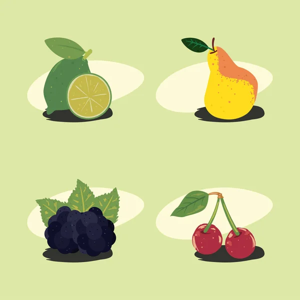 Set Von Flachen Frischen Früchten — Stockvektor