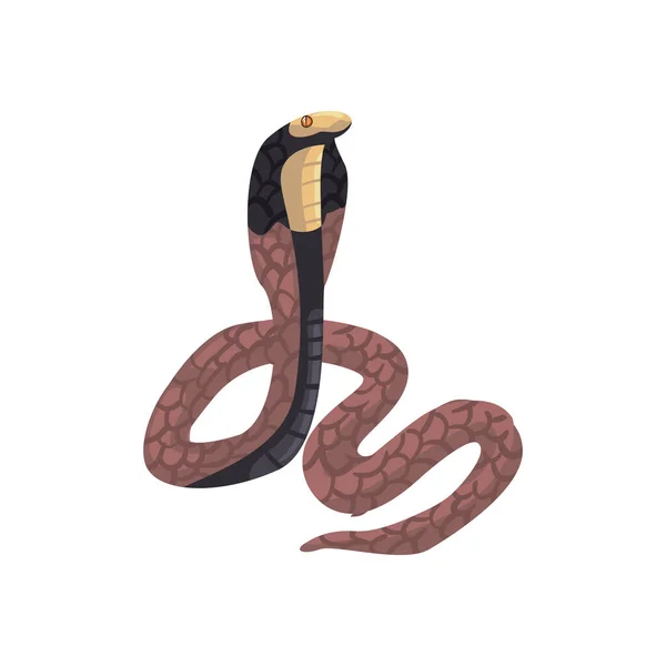 白の上に平らな茶色のコブラのデザイン — ストックベクタ