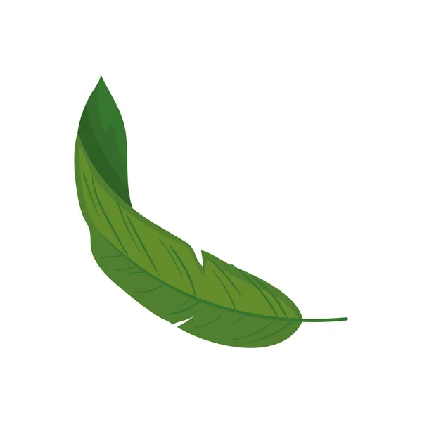 Une Feuille Verte Sur Blanc — Image vectorielle