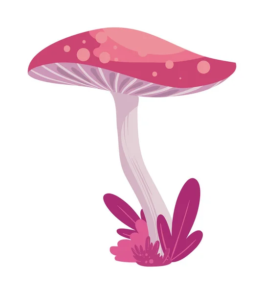 Ροζ Μύκητα Σχεδιασμό Πάνω Από Λευκό — Διανυσματικό Αρχείο