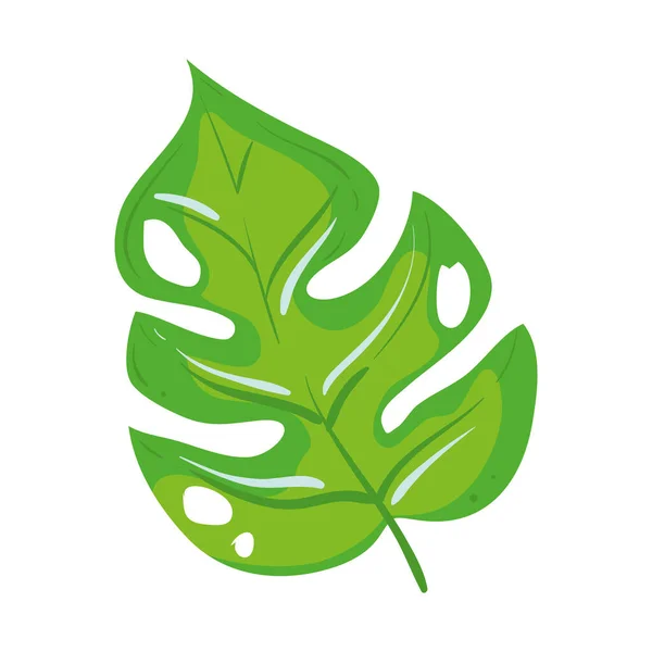 Green Leaf Illustration White — Stock vektor
